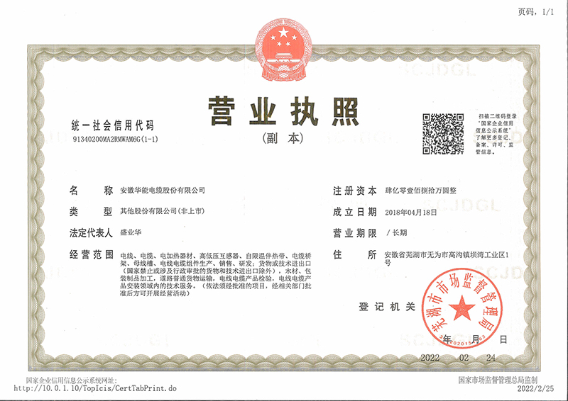 股份公司营业执照副本