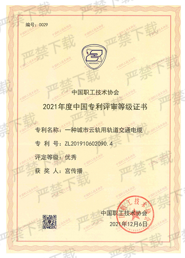 2021年度中国专利评审等级证书