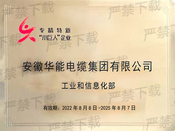 专精特新“小巨人”企业称号