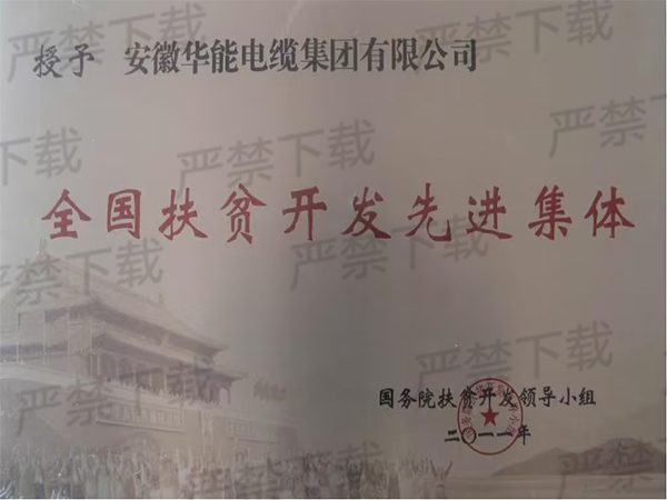 全国扶贫开发先进集体