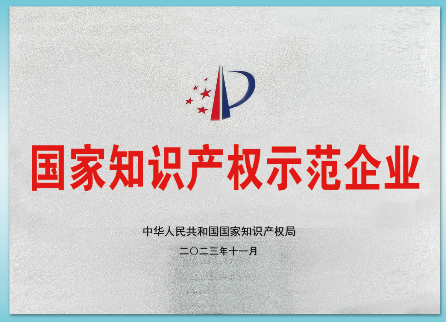 国 家知识产权示范企业