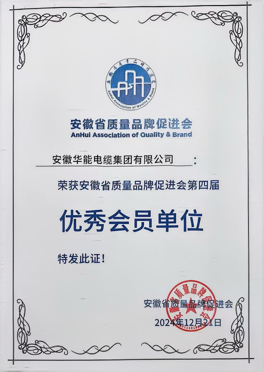 安徽省质量品牌促 进会优秀会员单位
