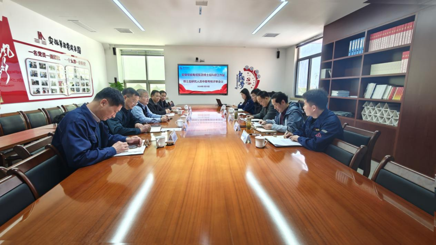安徽mk体育电缆集团博士后科研工作站 博士后中期考核评审会顺利召开